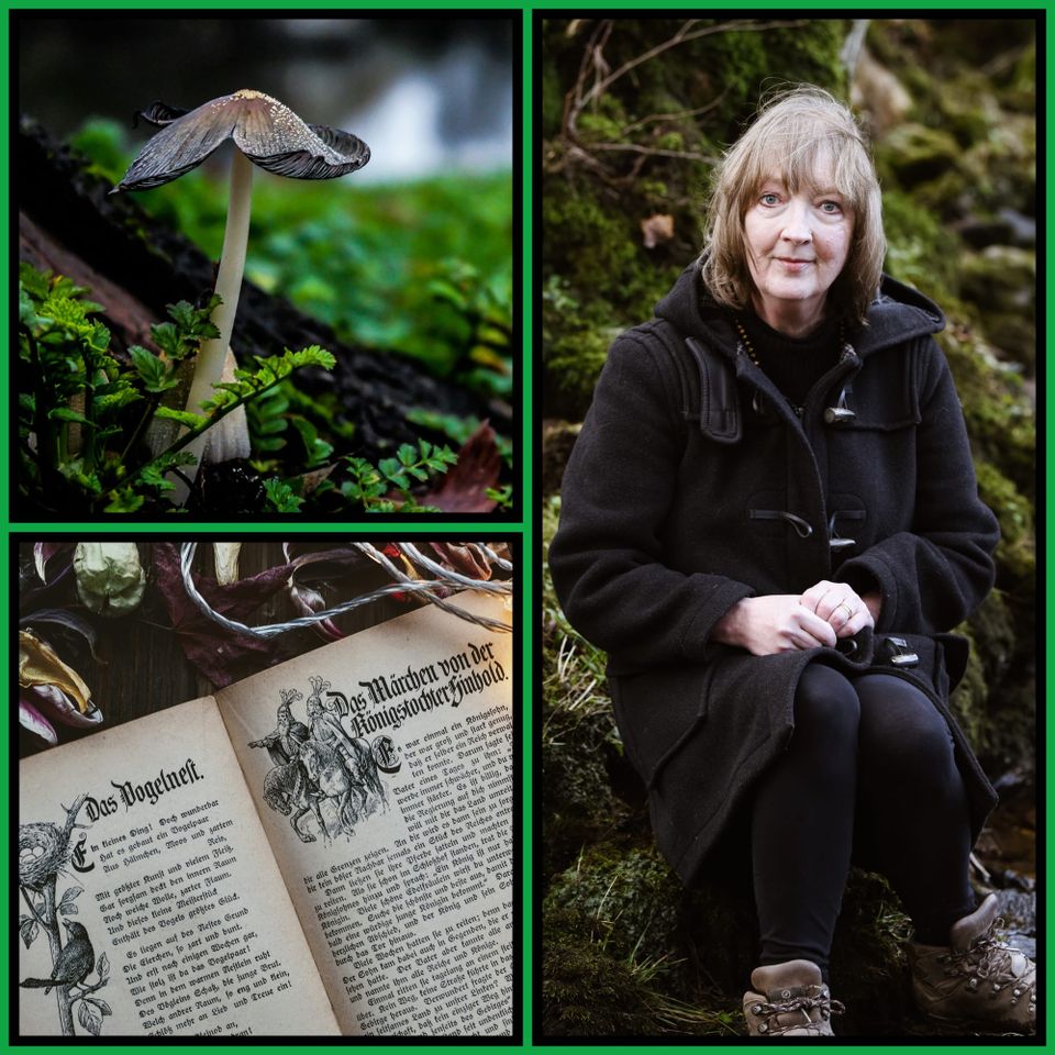 Three-panel collage with green border: top-left a single mushroom in a bed of moss with water in the soft-focus background, right a woman in a black wool coat seated against a mossy outcro...