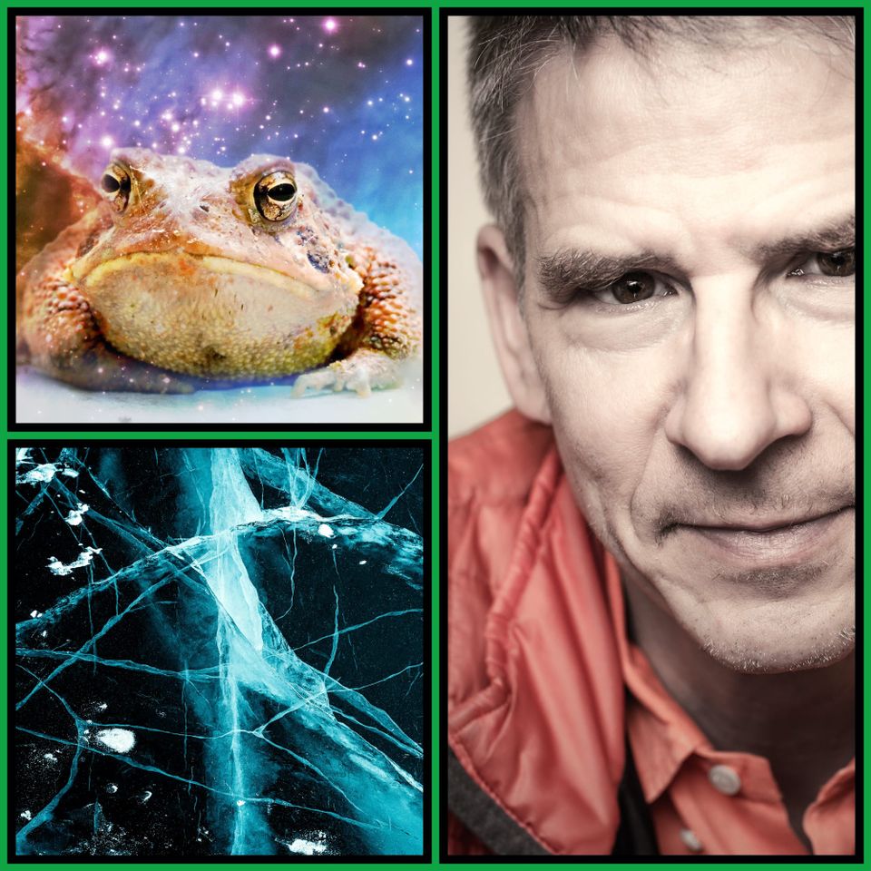 Three-panel collage with green border: top-left, a toad against a cosmic nebula background; right, a man in a red jacket looking into camera; bottom-left, glowing fractured blue ice.