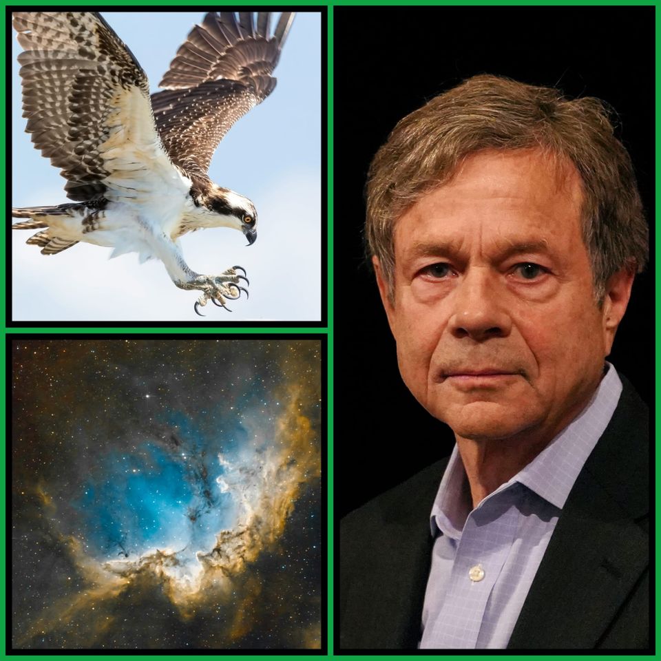 Three-panel collage: an osprey in flight with talons extended, a glowing blue-and-gold nebula, and a portrait of Alan Lightman.