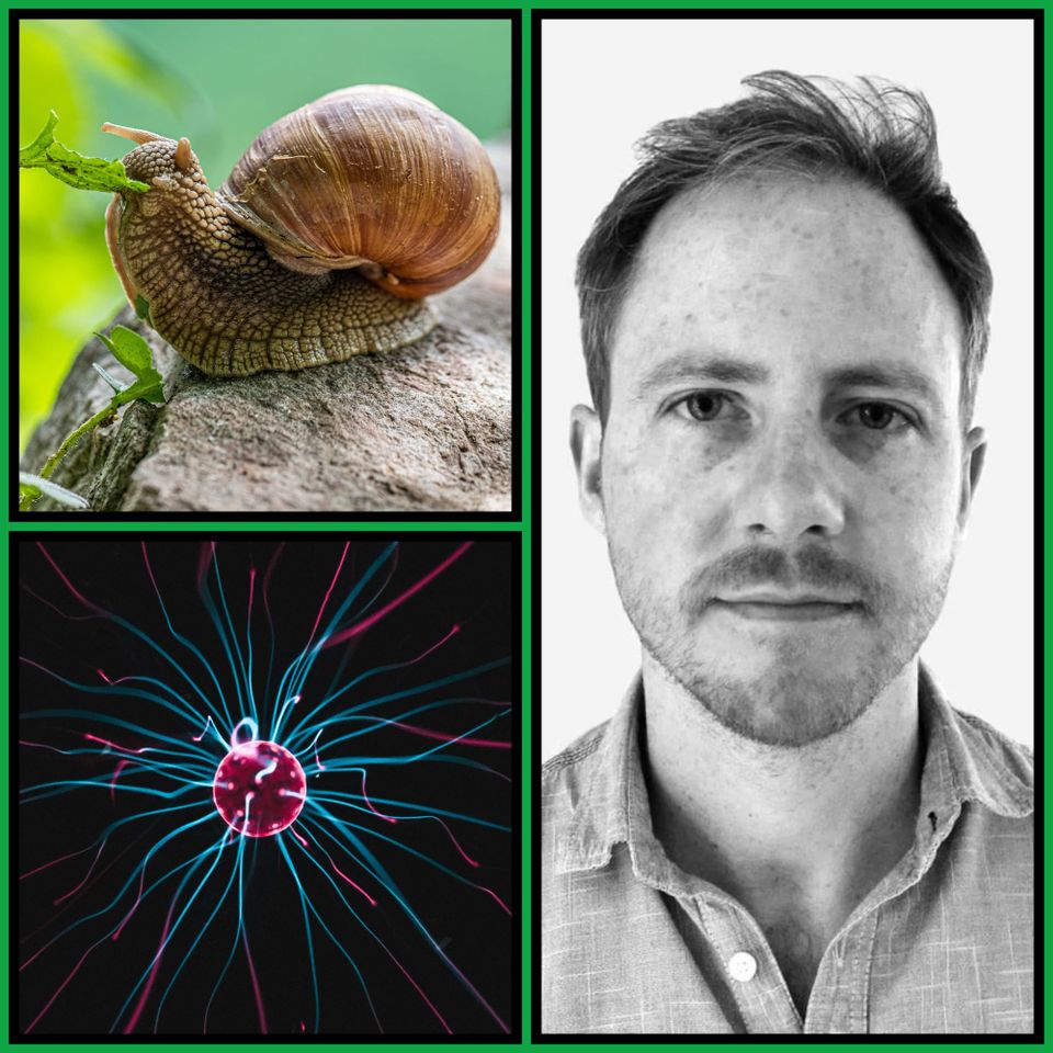 Three-panel collage: a snail on a rock, a plasma orb trailing cyan filaments, and a black-and-white portrait of Philip Goff.