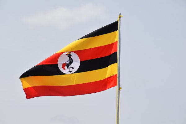 Uganda’s Currency Faces Further Pressure as Businesses Seek US Dollars