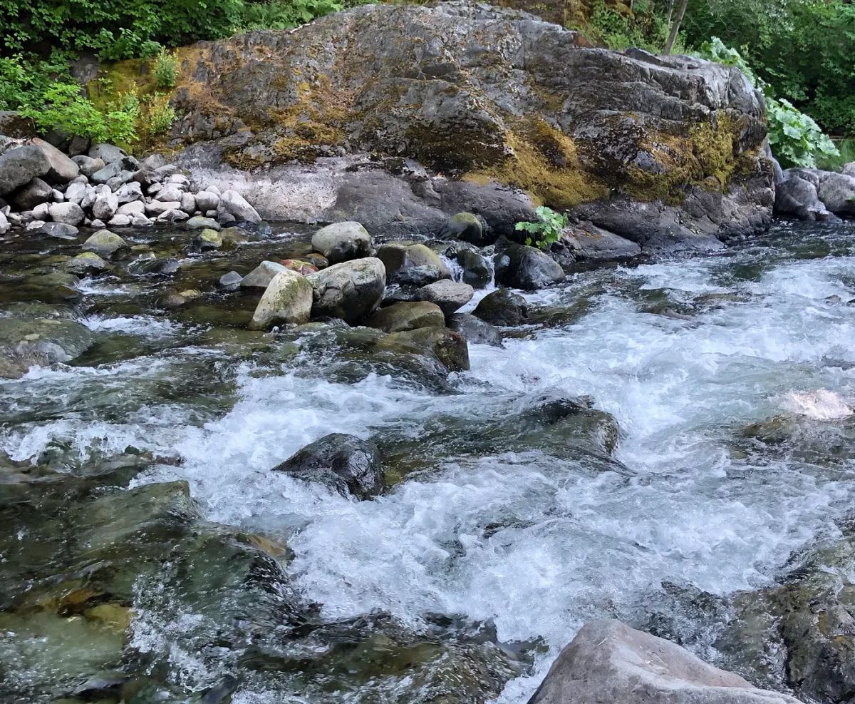 The zen of tenkara — how I learned to love fishing