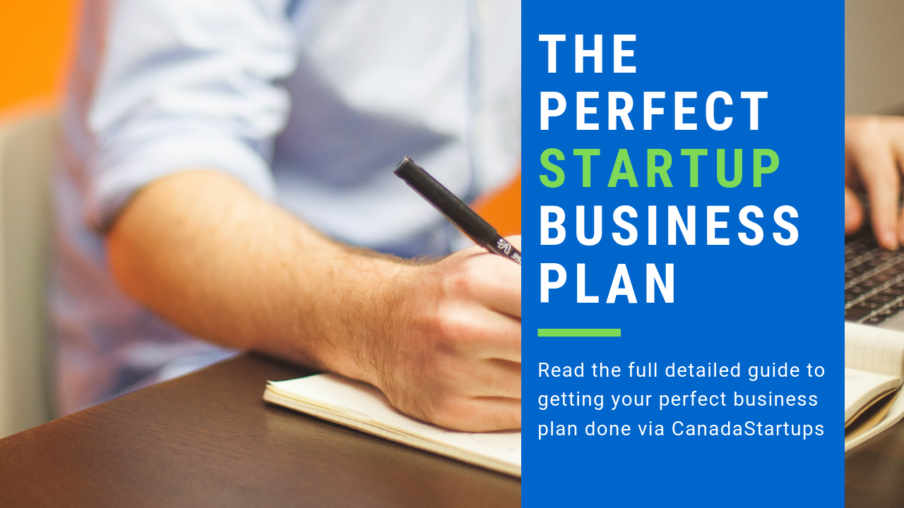 Creating the Perfect Startup Business Plan