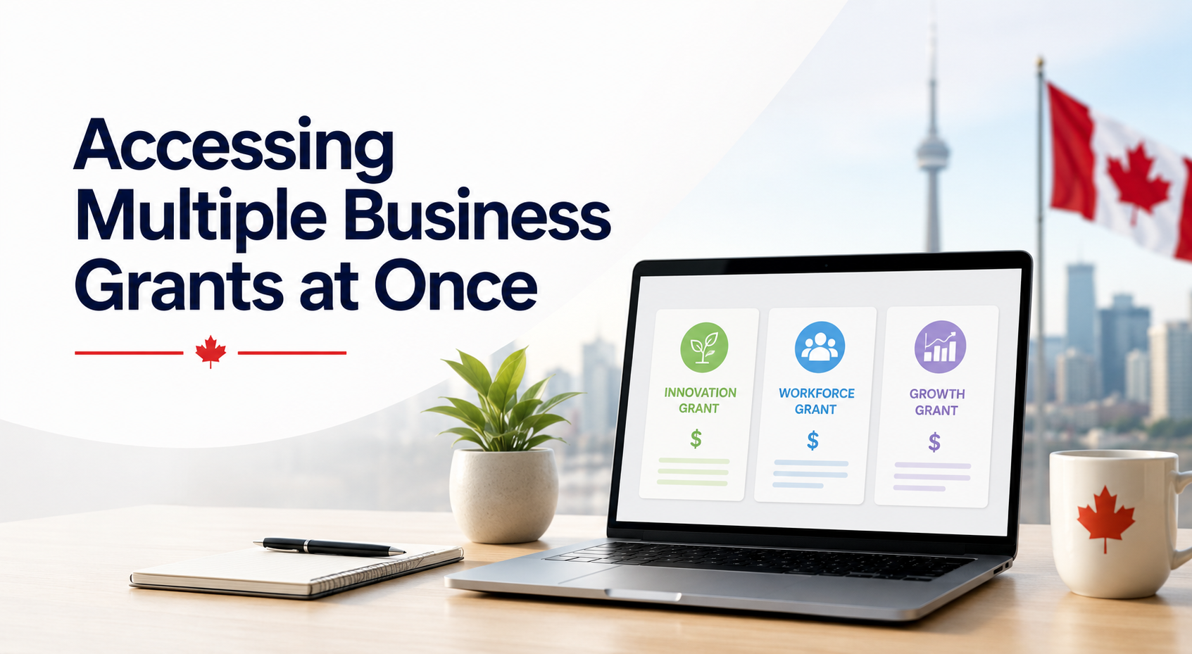 Accessing Multiple Business Grants at Once