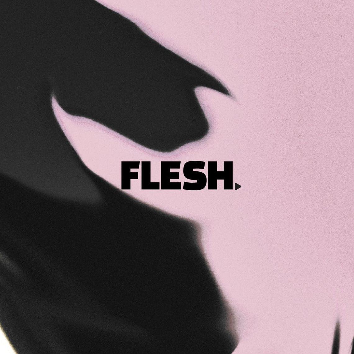 à propos de flesh.