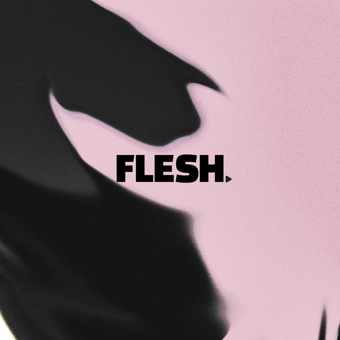 à propos de flesh.