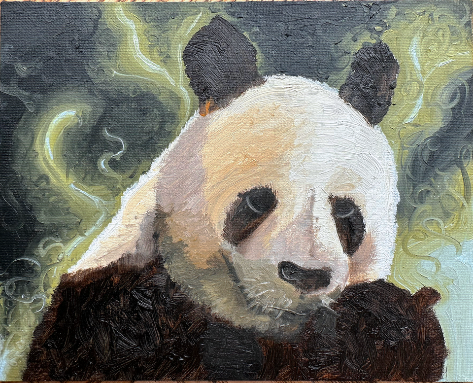 Panda