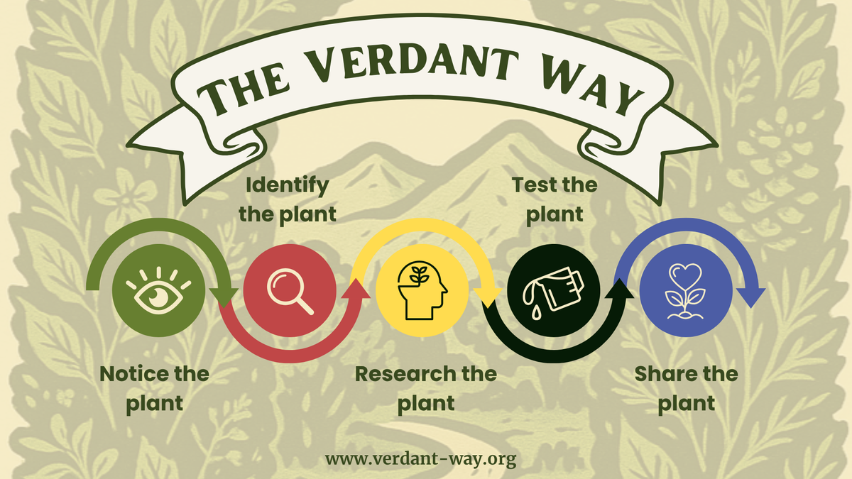A Field Guide to Verdant Way
