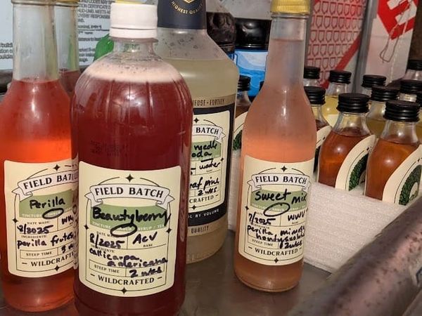 Reflecting on Wild Fermentation