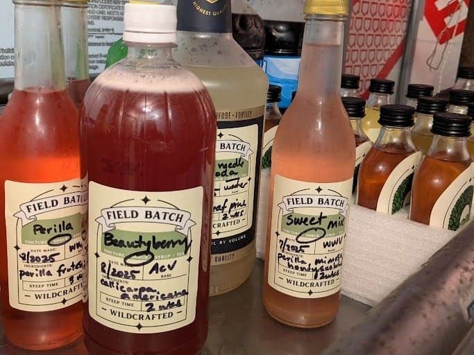 Reflecting on Wild Fermentation