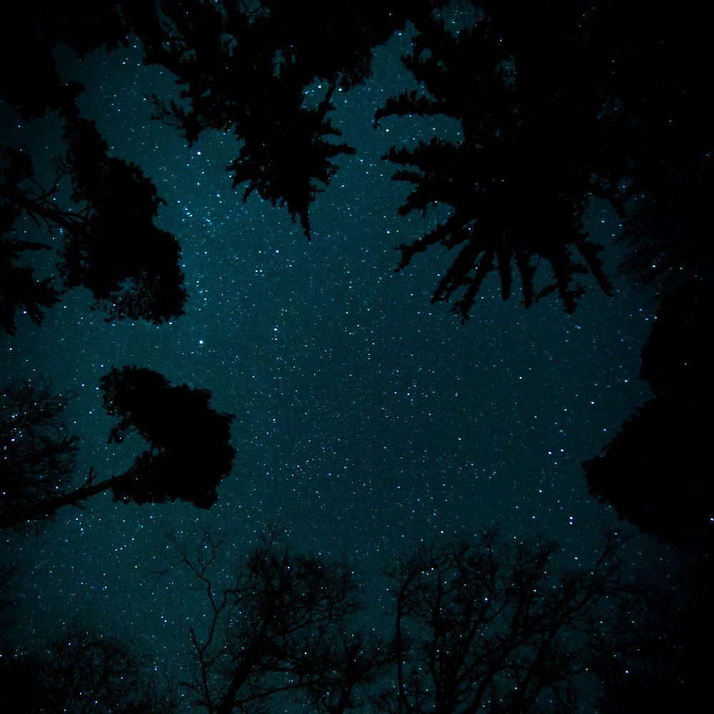 OK To Fall (live recording) 🎵