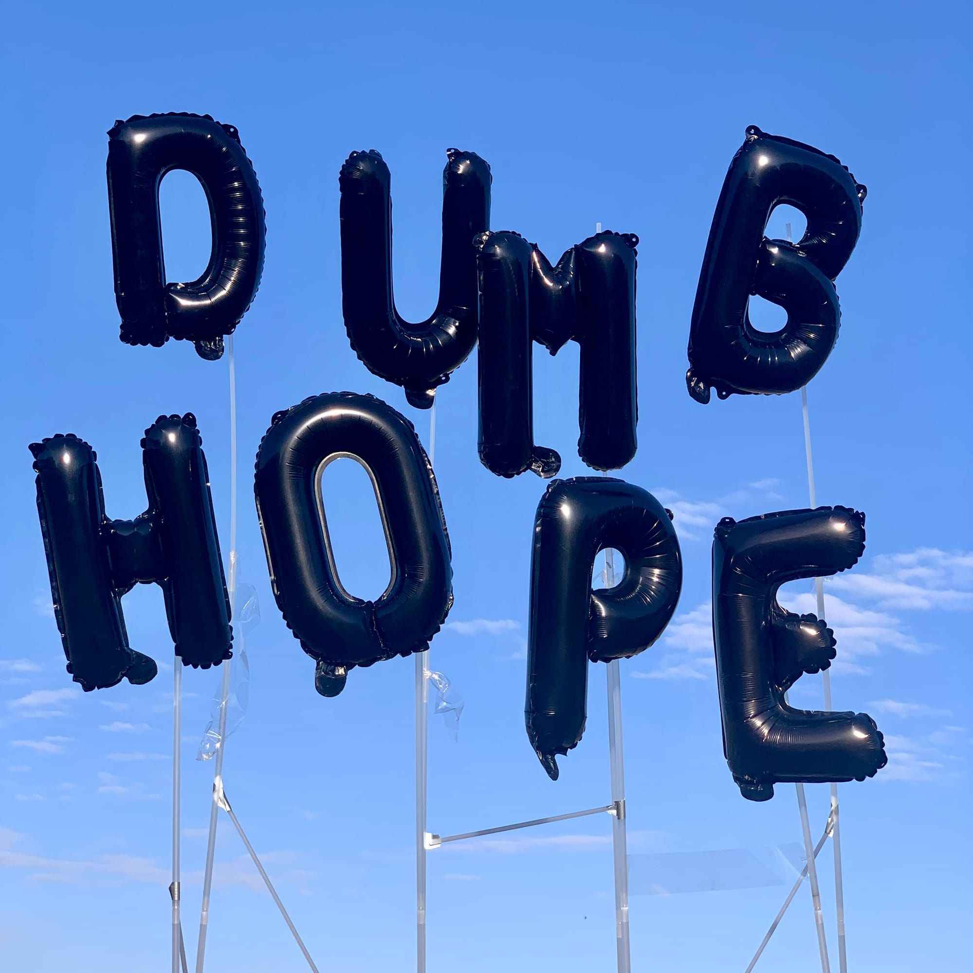 Dumb Hope is finished and it's my gift to you 🎵