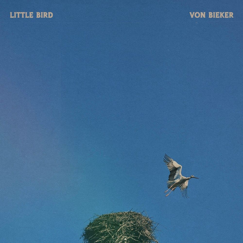 Little Bird has left the nest 🎵