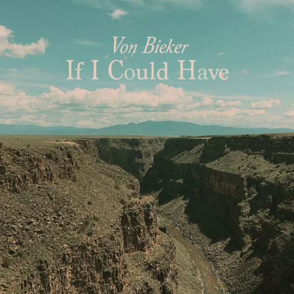 If I Could Have 🎵