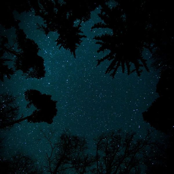 OK To Fall (live recording) 🎵