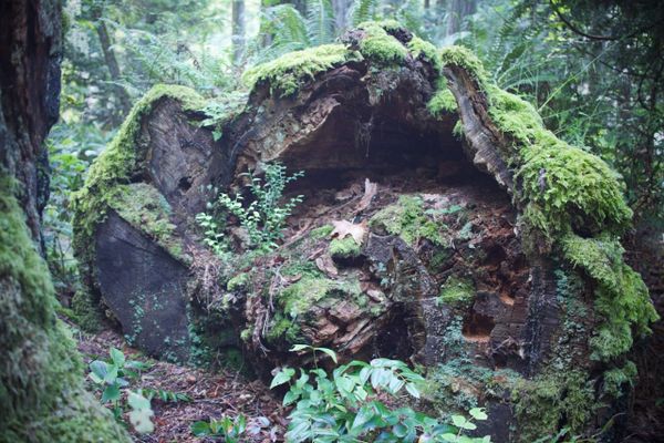 How I Spent My Summer Vacation