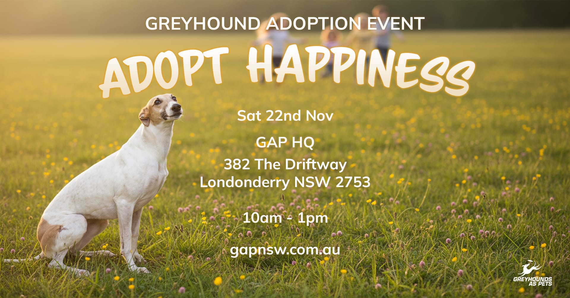 Greyhounds as pets Adoption Event