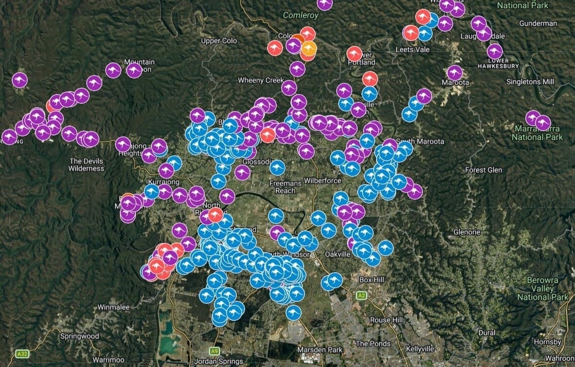 Incidents involving kangaroos and wallabies in the Hawkesbury, image by Drive Kangaroo Aware