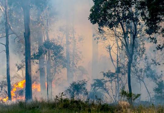 Smoke warning as Yellomundee hazard-reduction burn planned