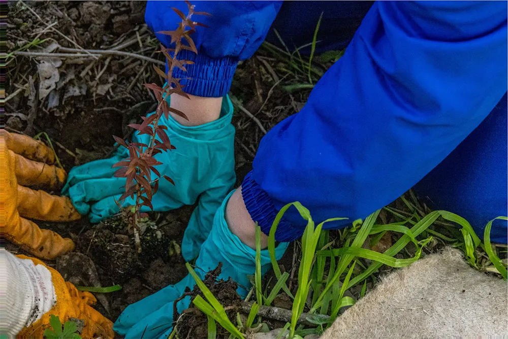 Cattai kids dig deep for platypus protection