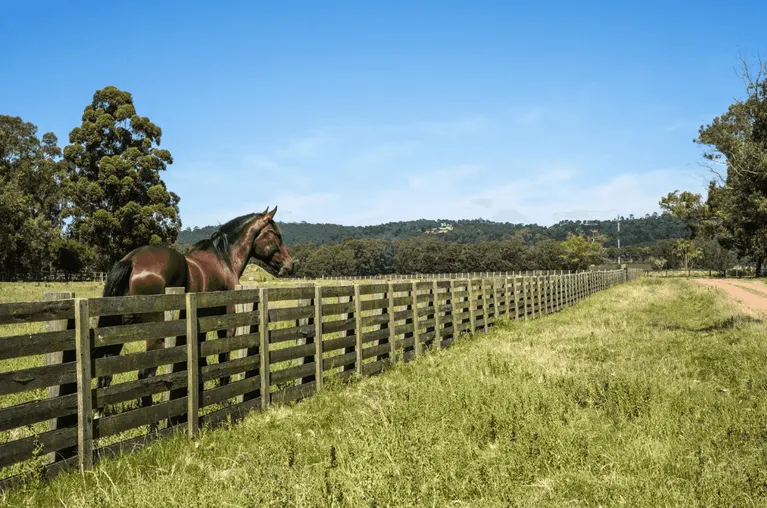 Hawkesbury landholders urged to put their hand up for Local Land Services board roles
