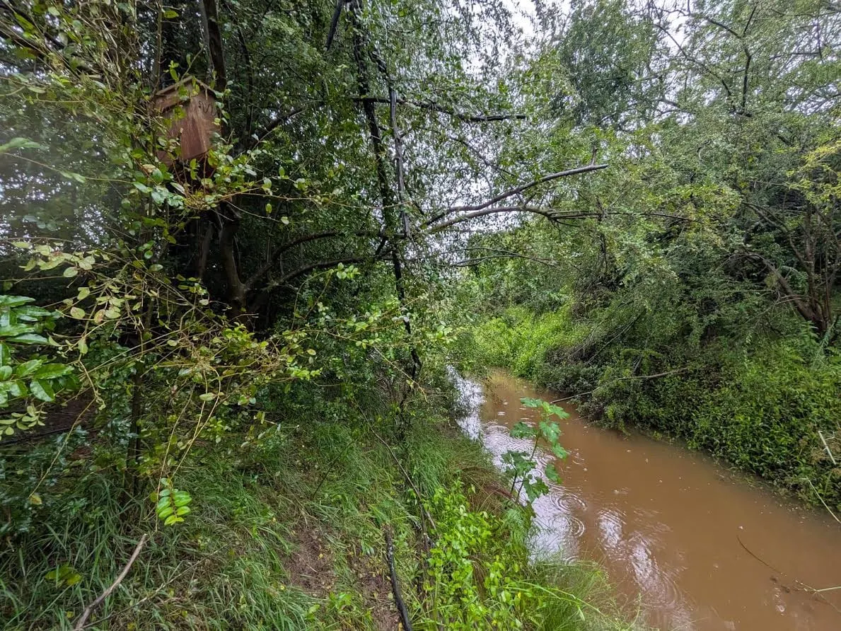 Locals Go ‘Batty’ for Upgraded Little Cattai Creek Bridge