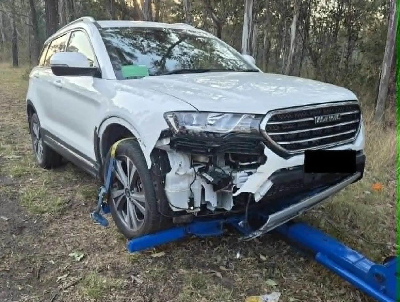Kangaroo carnage a costly commute