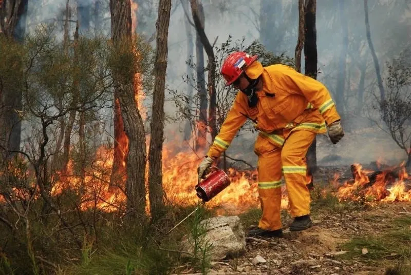 Hazard reduction burn to resume near Bowen Mountain this weekend