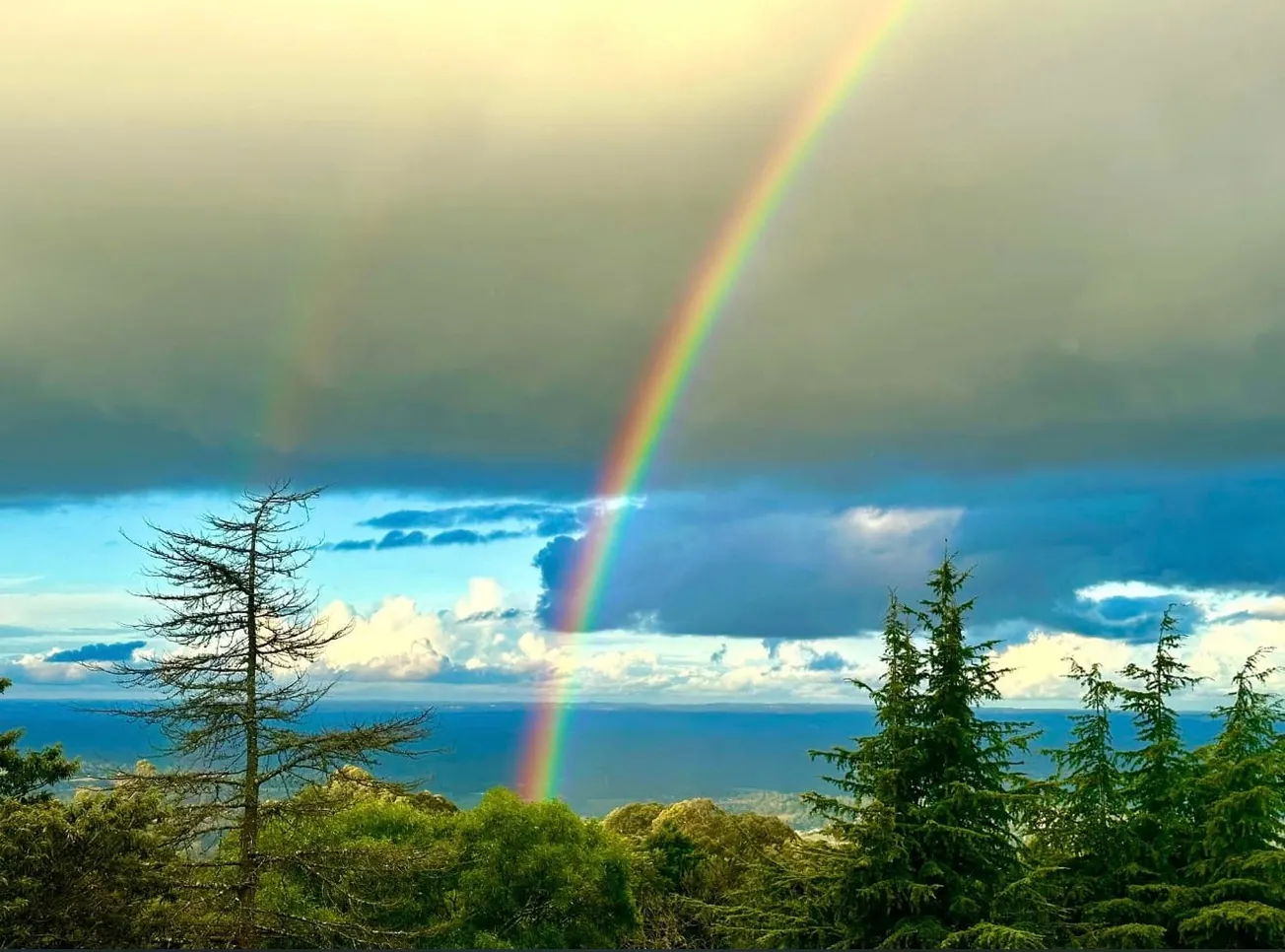 Pot of Gold