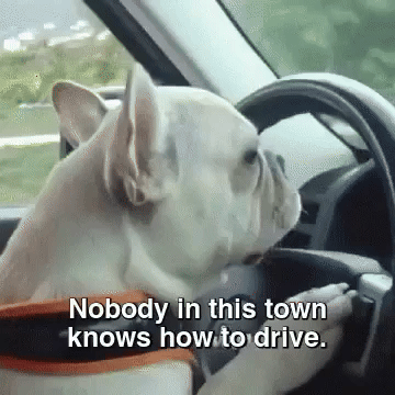 Stuck Behind a Slow Driver?