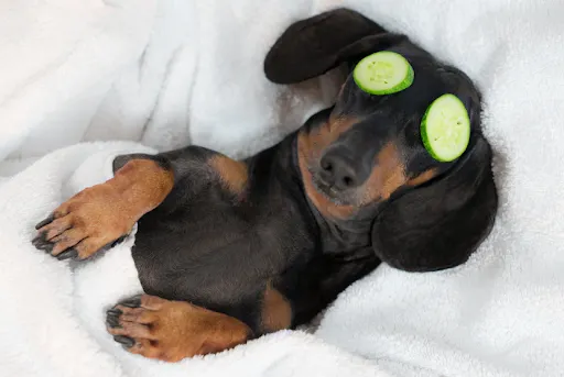 Rest is not laziness!
