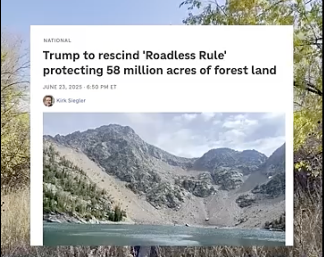 NM forests are being threatened by Trump. You’ve only got a couple days left to say something.