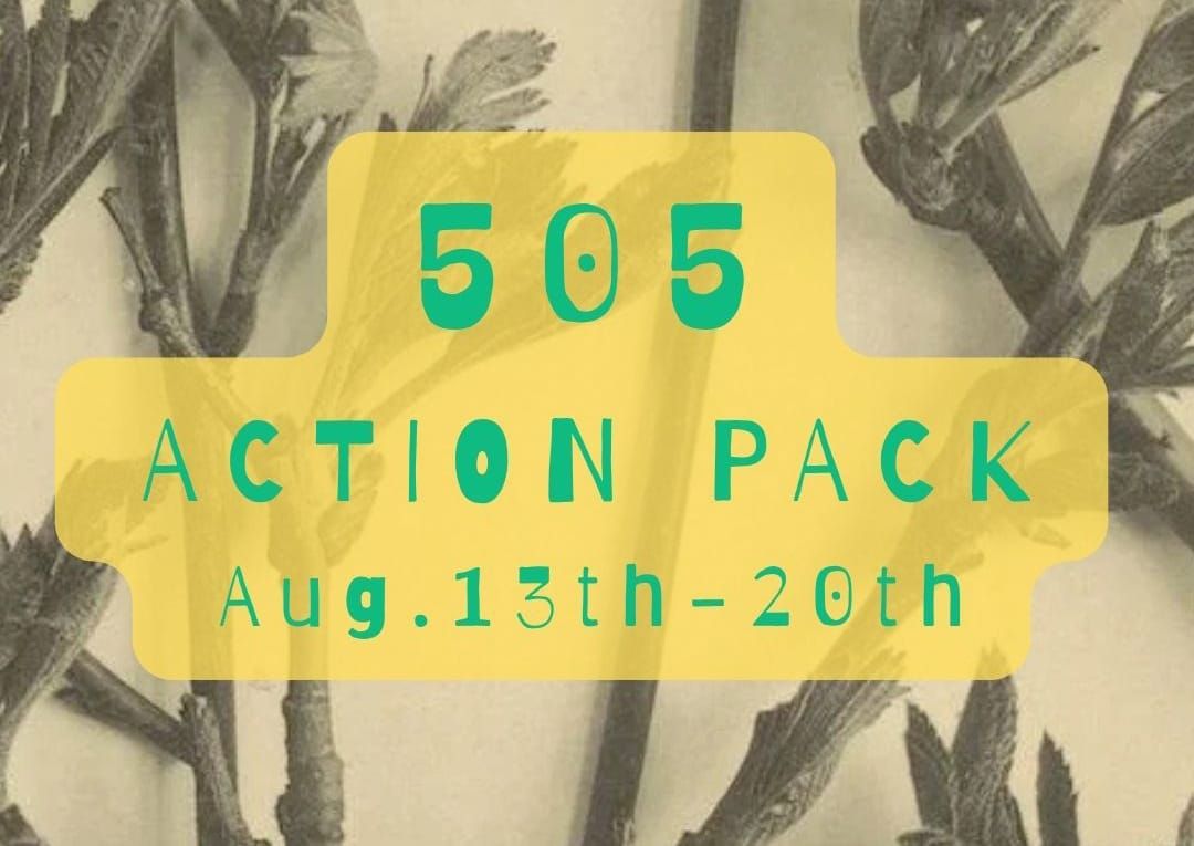 Rain, please: 505Action Pack Aug. 13-20th Edition