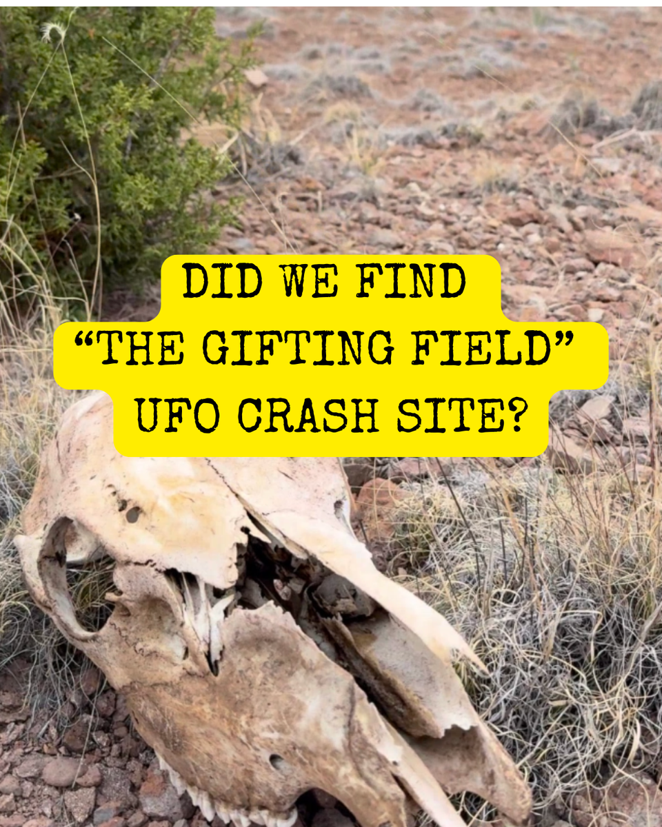 Did We Find The Secret Location of The Rumored UFO Crash Site Known as The Gifting Field?