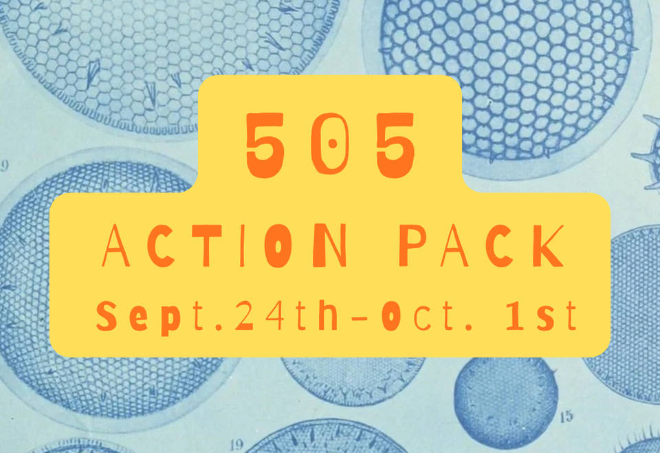 Rainiacs: 505Action Pack Sept. 24th-Oct. 1st