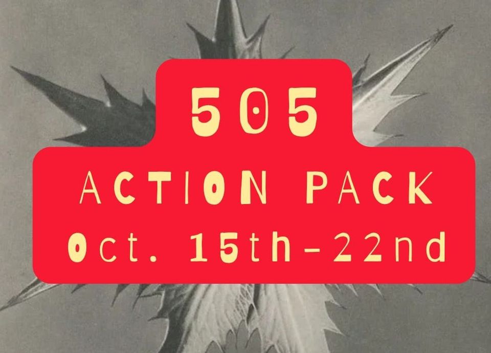 Golden Days: 505Action Pack Oct. 15th-22nd