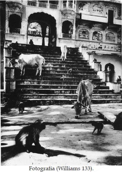 Análisis del tiempo en el primer capítulo de “El otoño del patriarca”, de Gabriel García Márquez