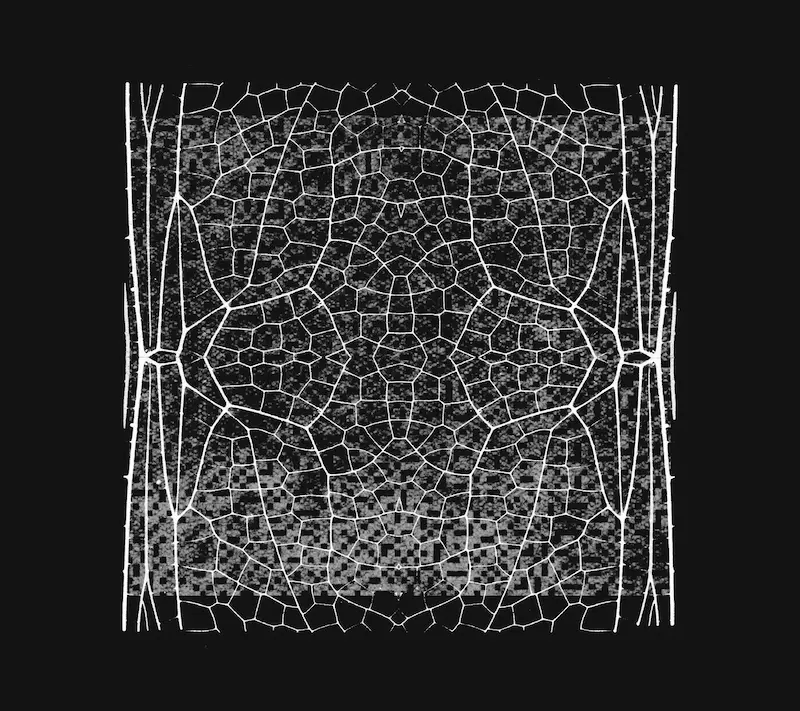 Project Glasswing di Anthropic si espande