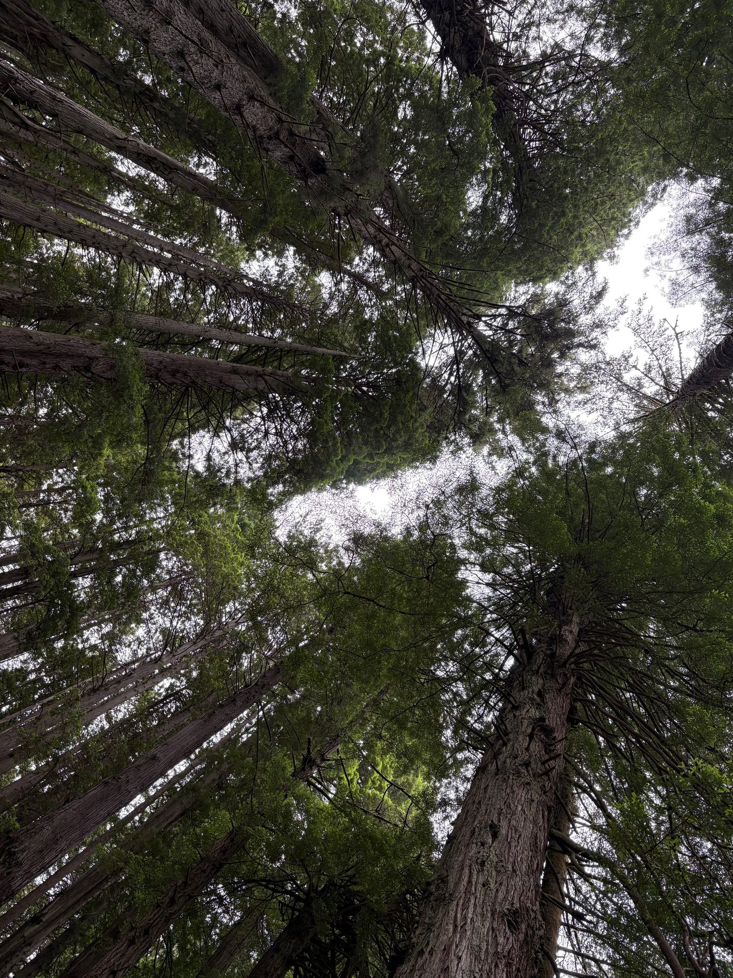 Silence Is Not An Option