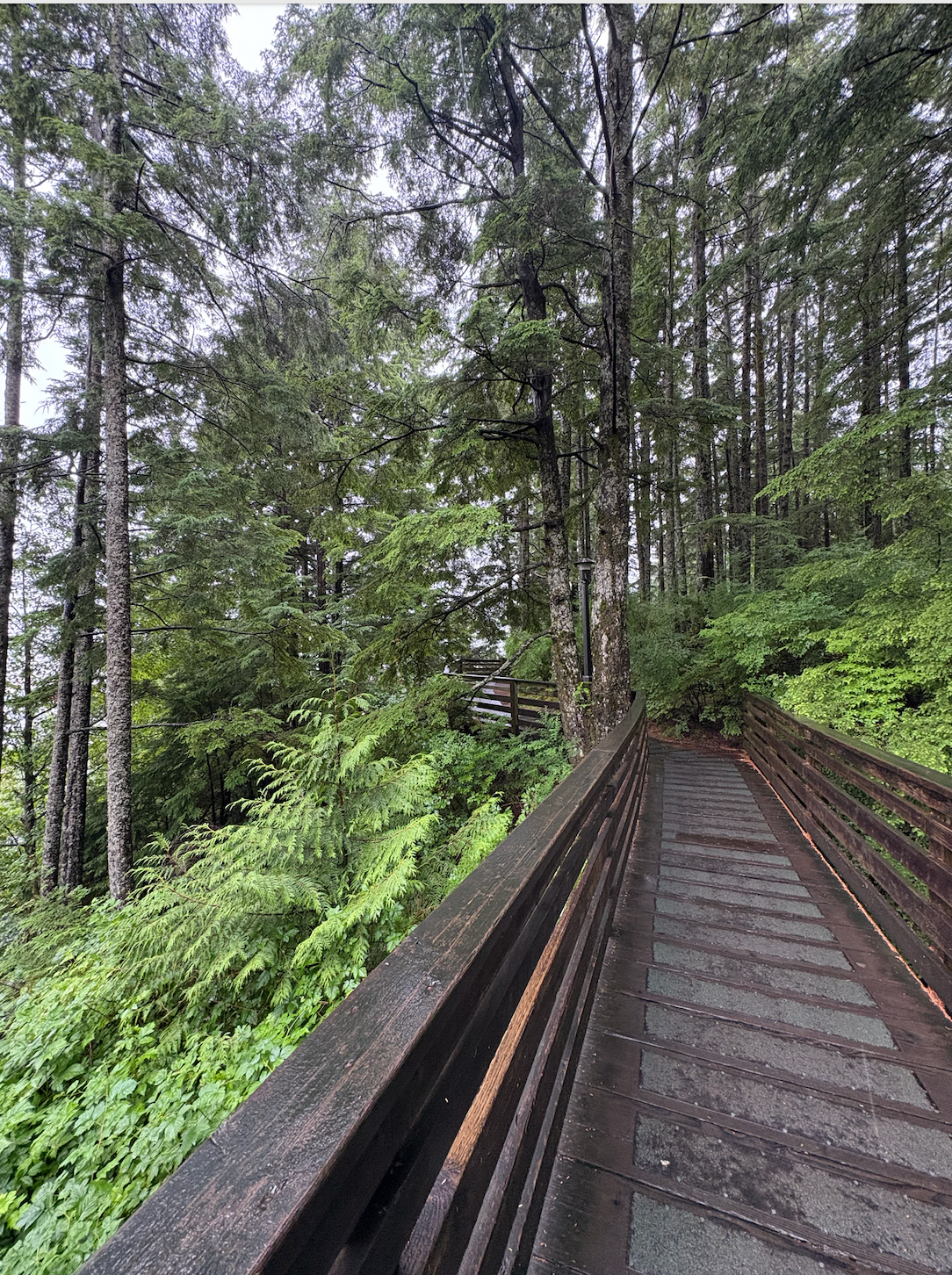 Aurora Bookshop Is Open