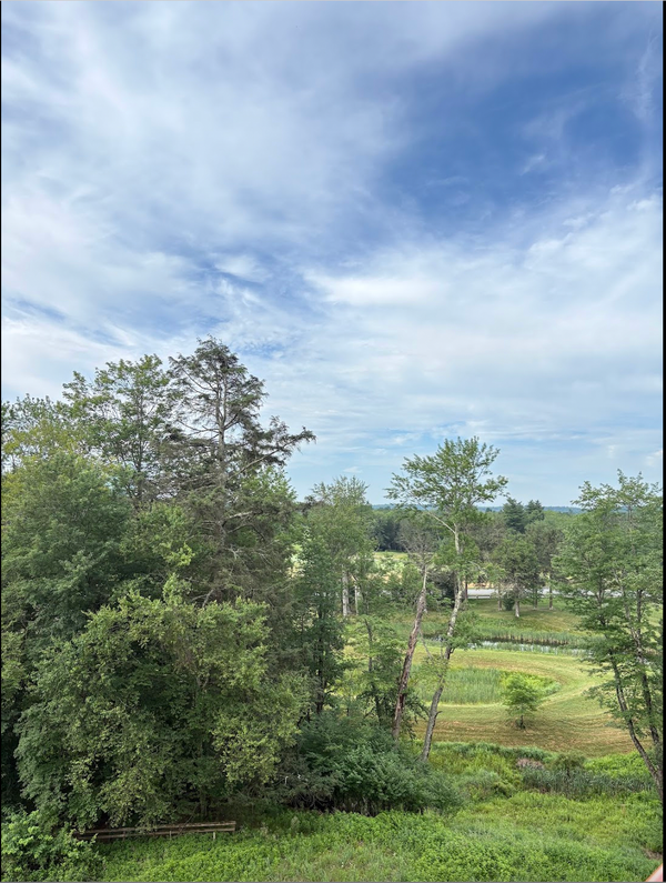 Launching A Bookshop