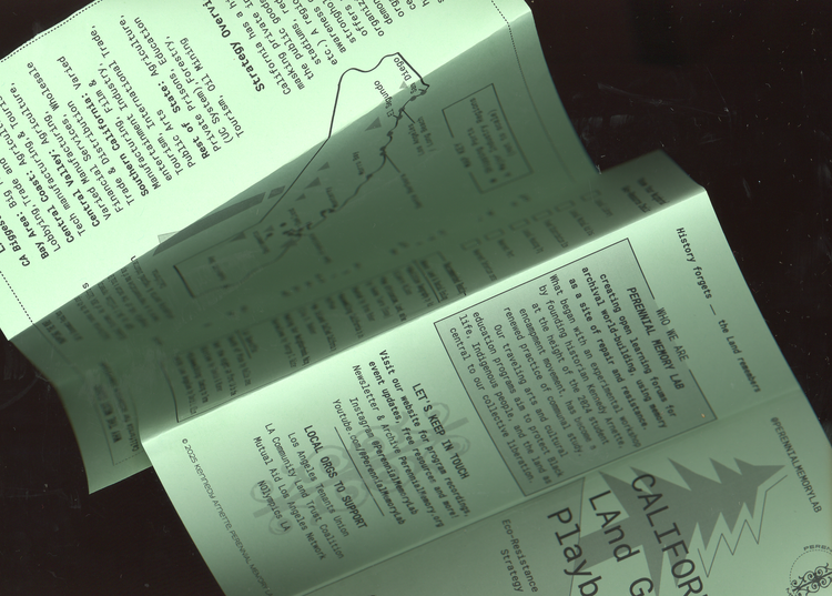 California for Collective Liberation (Essay)