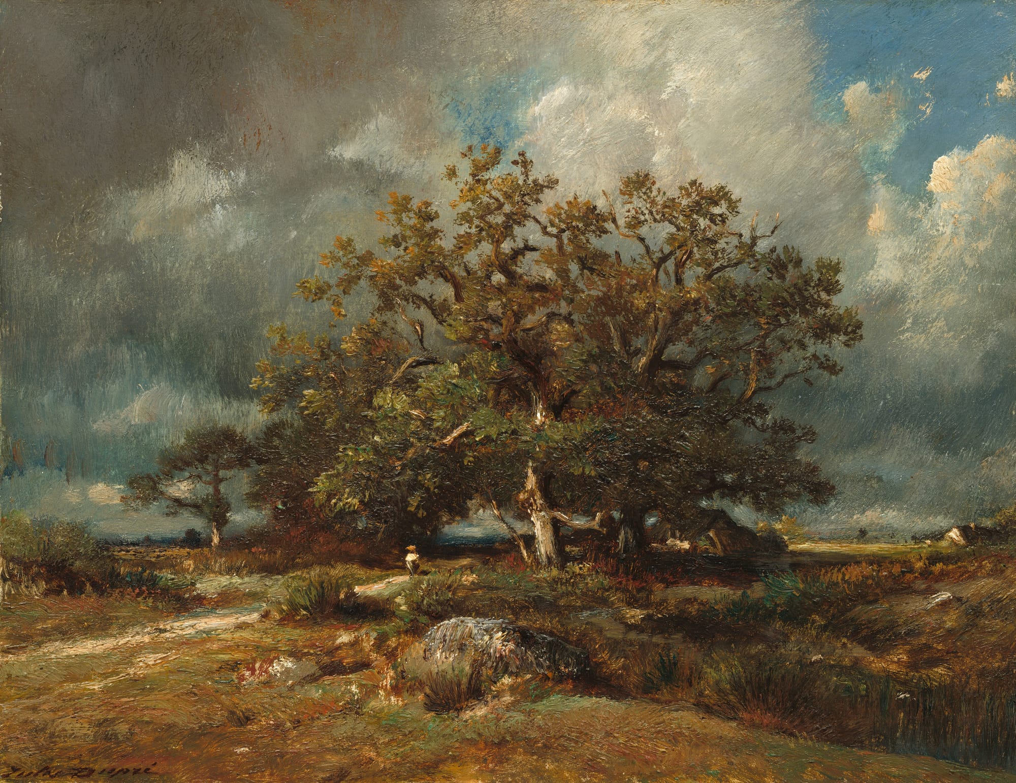 The Burl