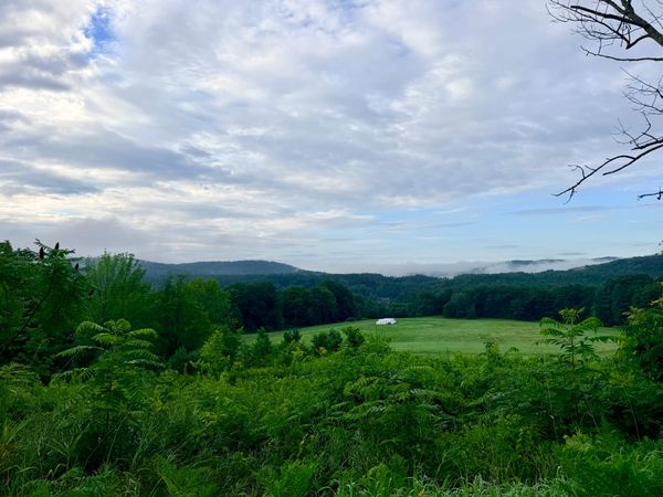 A summer morning view of the green upper fields of Marshland Farm in Quechee, Vermont, with mountains to the south in the distance