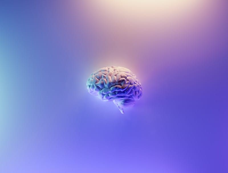 An illustration of stylised brain against a purple misty backdrop.