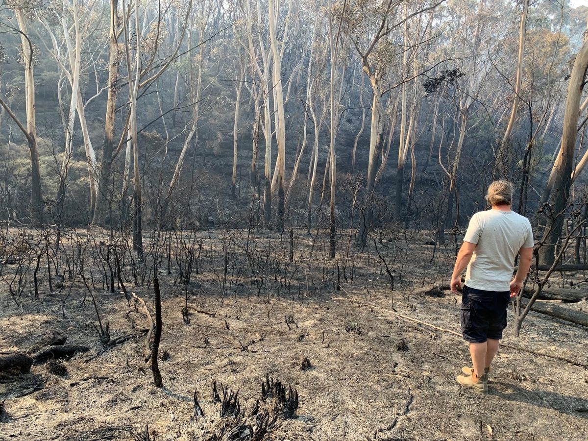 A man wearing a pale blue t-short, black shorts and work boots stands with his back to the camera, looking out at a burned bush landscape.