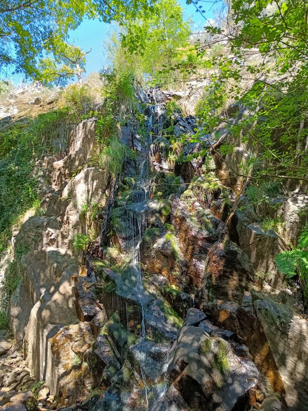 Albums That Feel Like Summer