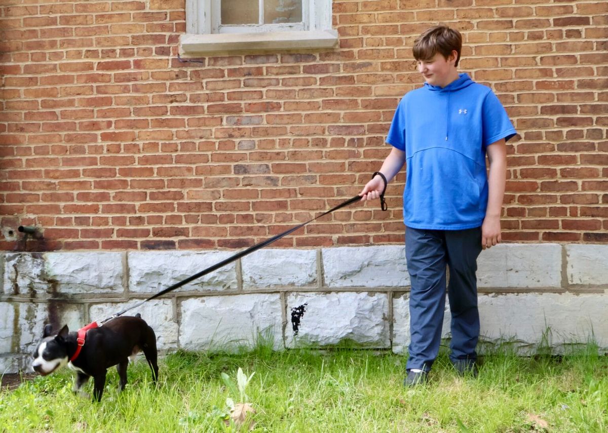 Teen’s persistence pays off as legislature adopts rescue dogs, cats as official KY pet