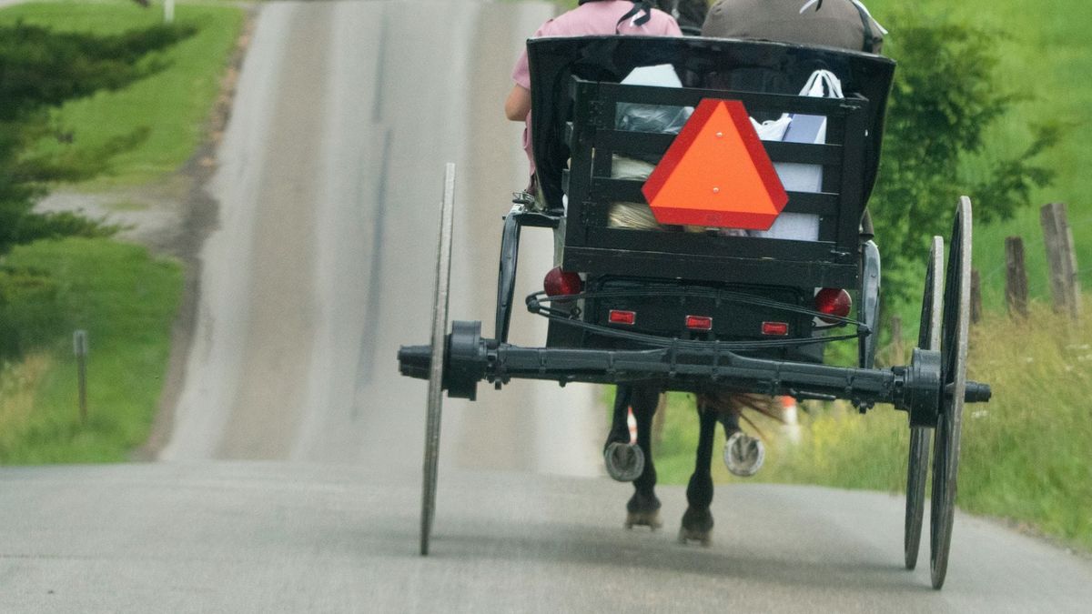 Woman killed after pickup strikes horse-drawn carriage in Hart County