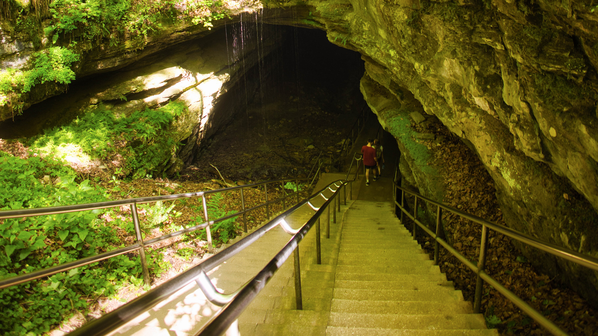 Barren County tourism holds steady despite challenging 2025